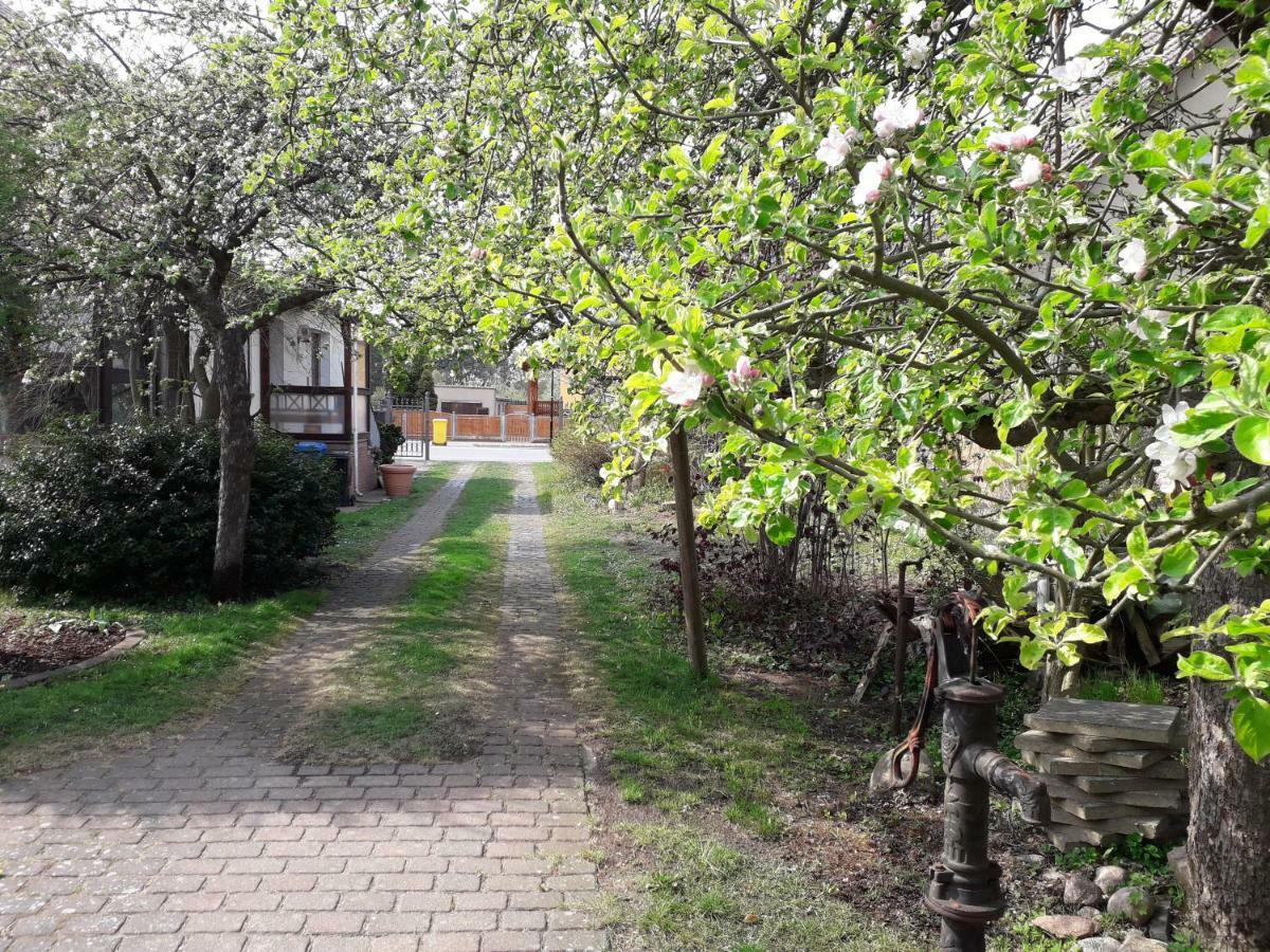 Ferienhaus Gartentraum Rheinsberg Extérieur photo